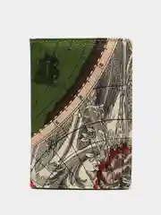 Зеленый обложка для паспорта