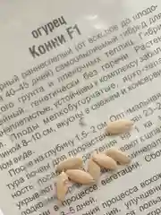 Семена Огурец "Конни F1" набор 1, 3, 5 уп