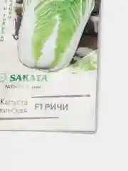 Семена Капуста пекинская F1 "Ричи" набор 1, 3, 5 уп
