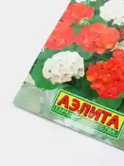 Пеларгония Дансер Йорк (семена,цветы)