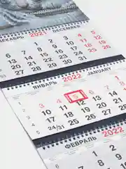 Календарь квартальный, трио "Символ года-1" тиснение фольгой, 31х69 см, 2022 год