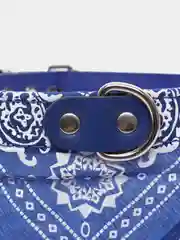 Синий бандана ошейник для кошек и собак, 3 размера и 5 цветов