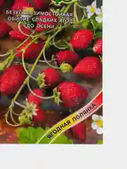 Земляника Регина (семена)