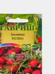 Земляника Регина (семена)