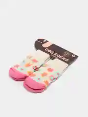 Бежевый носки для собак