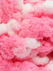 Тёмно-розовый пряжа Alize Puffy Color, петельки большие, 100 г, 9 м