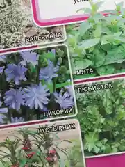 Семена Лекарственный огород "Сердечный"