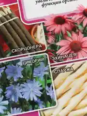 Семена Лекарственный огород "Диабетический"