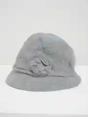 Серебряный шляпа вязаная двойная
