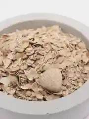 Минеральная подкормка "Ракушечник" для птиц, 100 г