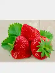 Багровый алмазная мозайка DIY "Клубника", "Апельсин со льдом", "Парк", 45 х 35 см
