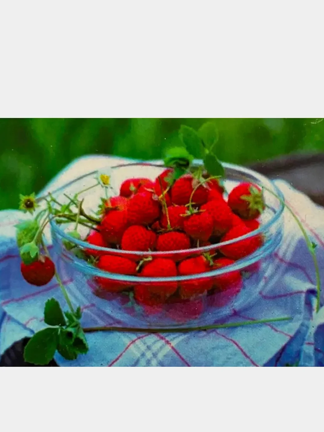 Вишнёвый алмазная мозайка DIY "Клубника", "Апельсин со льдом", "Парк", 45 х 35 см