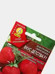 Земляника ремонтантная Вкус детства (семена,клубника)
