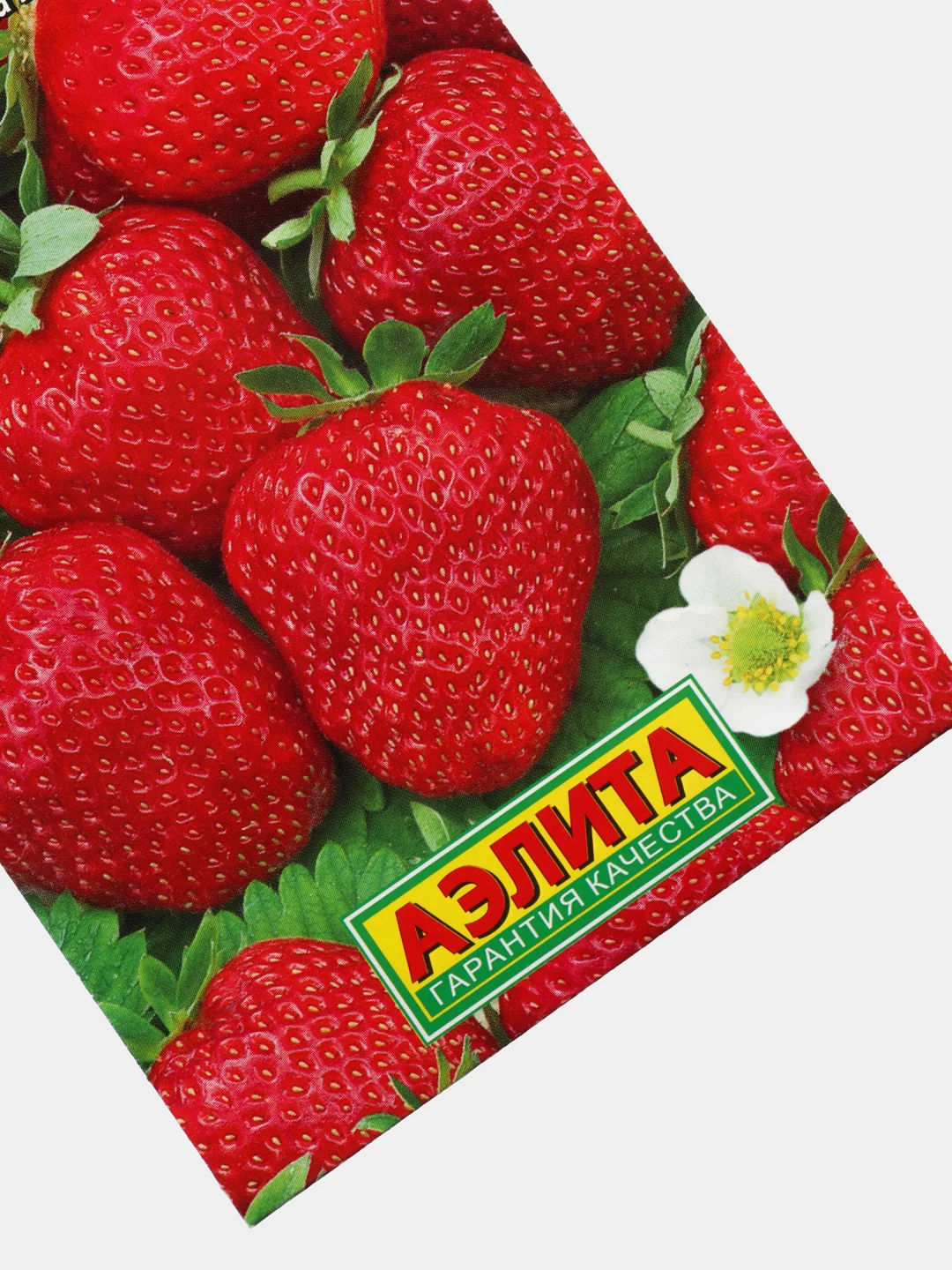 Земляника ремонтантная Вкус детства (семена,клубника)