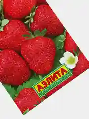 Земляника ремонтантная Вкус детства (семена,клубника)