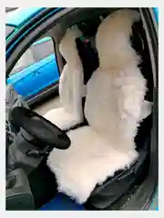Белый меховые накидки на сиденье автомобиля из австралийской овчины, 1 штука