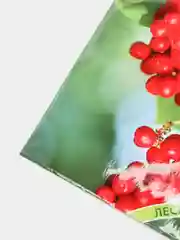 Семена Лимонник "Волгарь"
