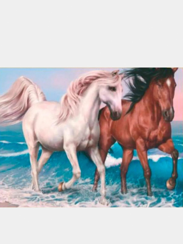 Алмазная мозаика без подрамника "Кони", 40*50 см, 200739080