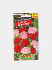 Пеларгония Дансер Ланкастер (семена,цветы)