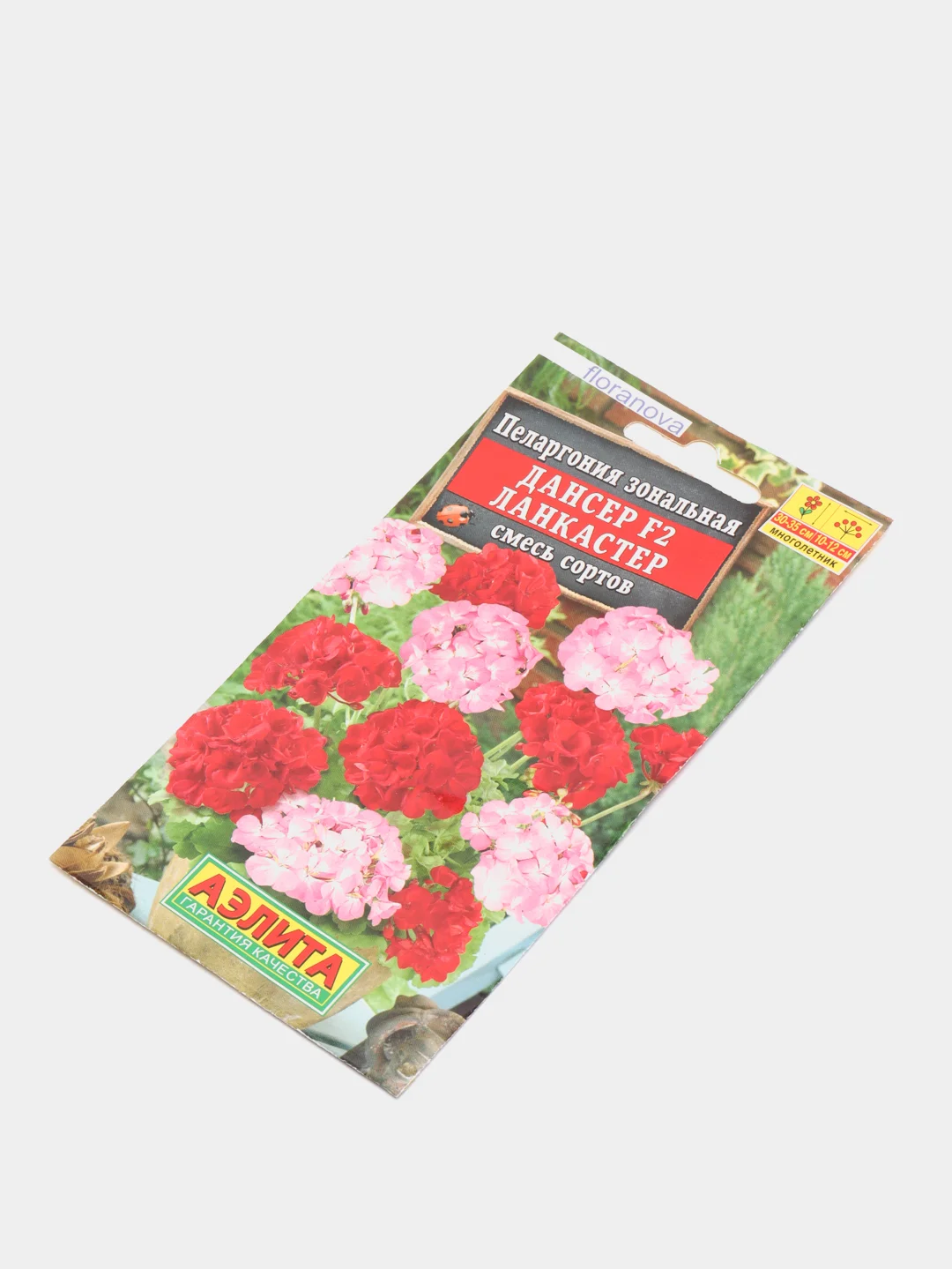 Пеларгония Дансер Ланкастер (семена,цветы)