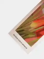 Золотой закладки для книг "Эстетика" бумажные