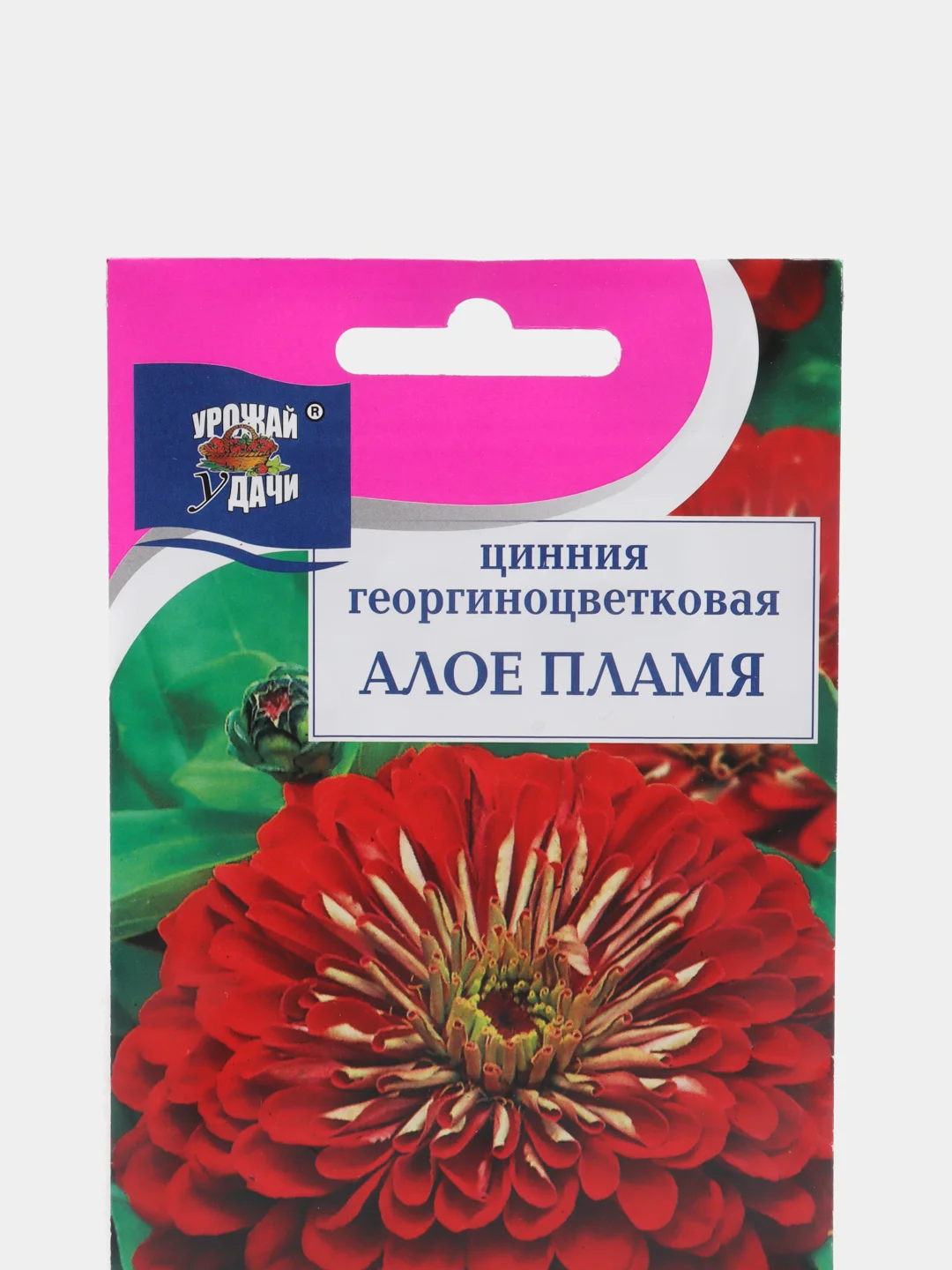 Семена цветов Цинния "Алое Пламя"