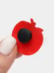 Ледяной джибитсы