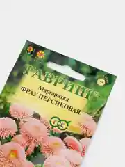 Маргаритка Фрау персиковая (семена,цветы)