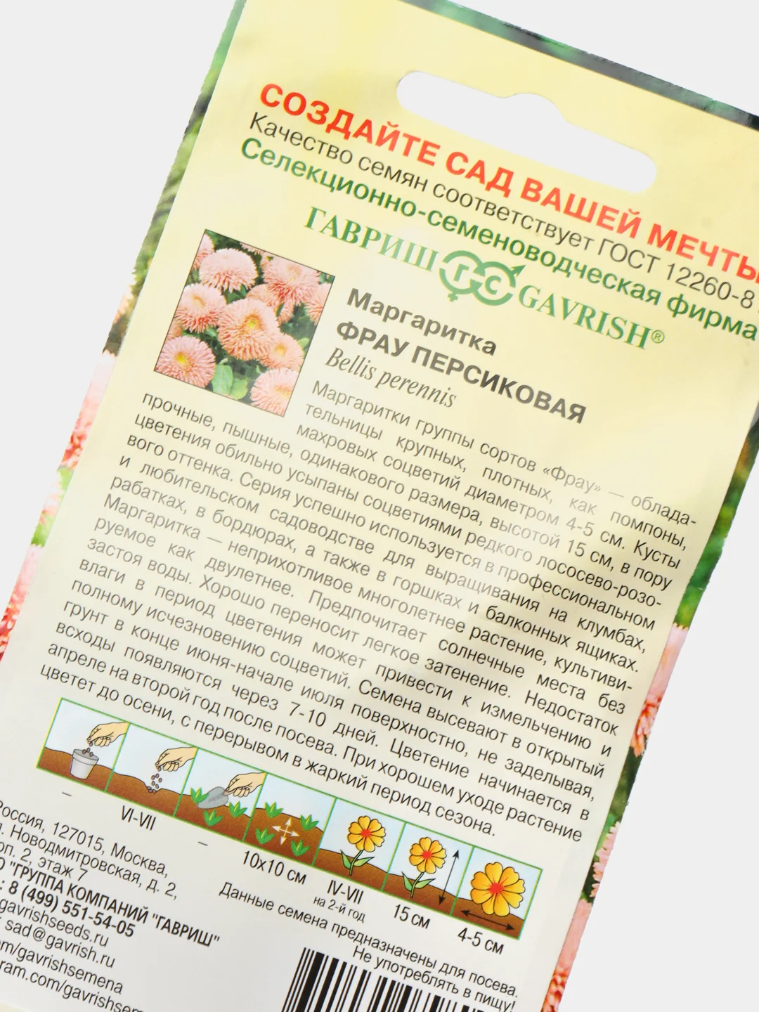 Маргаритка Фрау персиковая (семена,цветы)