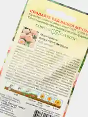 Маргаритка Фрау персиковая (семена,цветы)