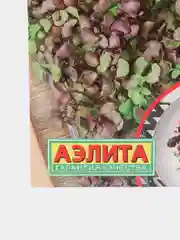 Семена Микрозелень Базилик "Ароматный салат" смесь, 5 г