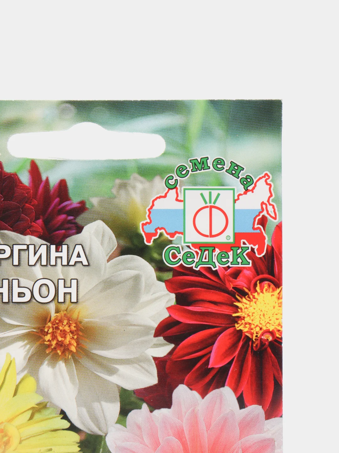 Семена Георгина  Миньон  низкорослая смесь