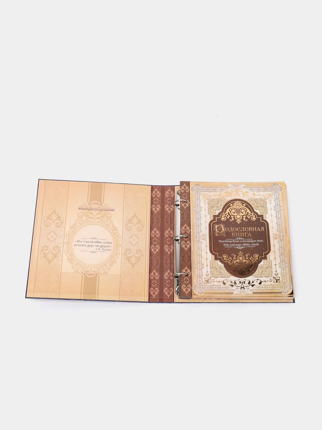 Родословная книга с рамкой под фото, 50 листов, 21.5 х 23.7 см