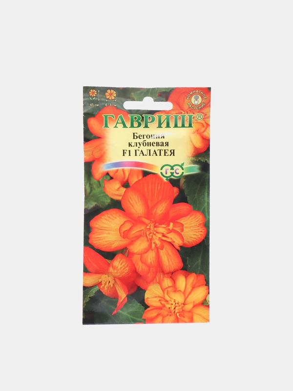 Бегония Галатея (семена,цветы)