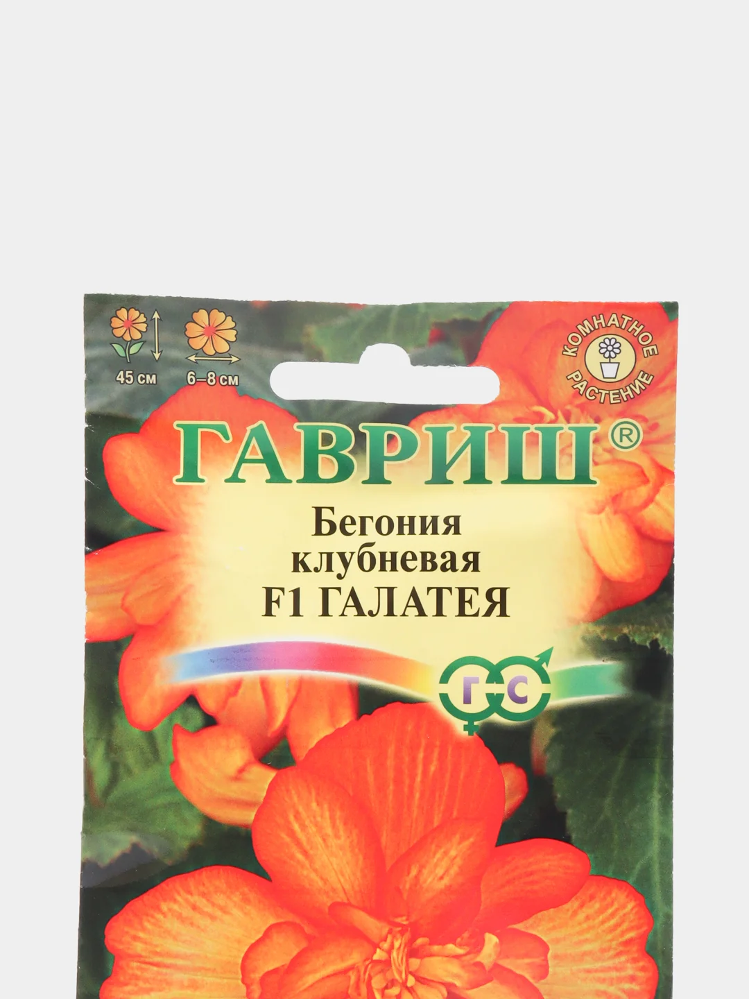 Бегония Галатея (семена,цветы)