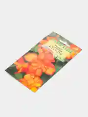 Бегония Галатея (семена,цветы)