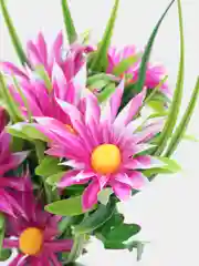 Фуксия искусственные Ромашки