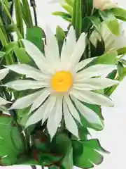 Белый искусственные Ромашки