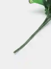 Желтый искусственные Ромашки