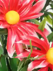 Красный искусственные Ромашки