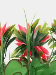 Красный искусственные Ромашки