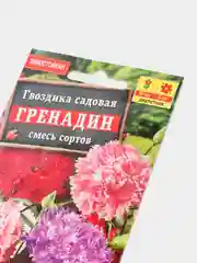 Семена цветов Гвоздика "Гренадин"