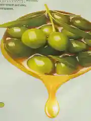 Оливковый увлажняющая косметическая тканевая маска для лица