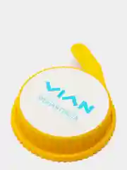 Зубная паста Vian "Манго" концентрированная, 25 г