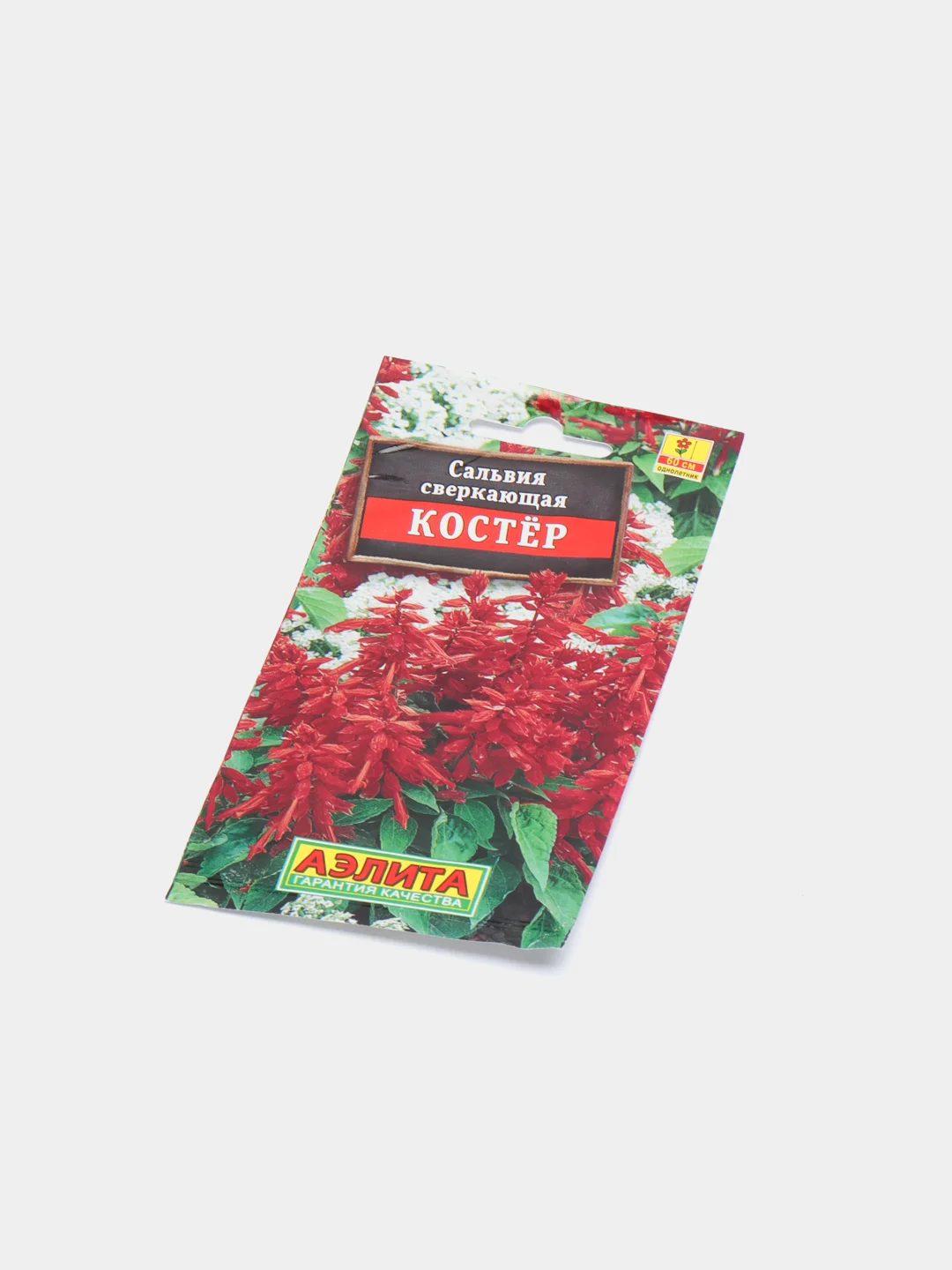 Сальвия сверкающая Костёр (семена аэлита)
