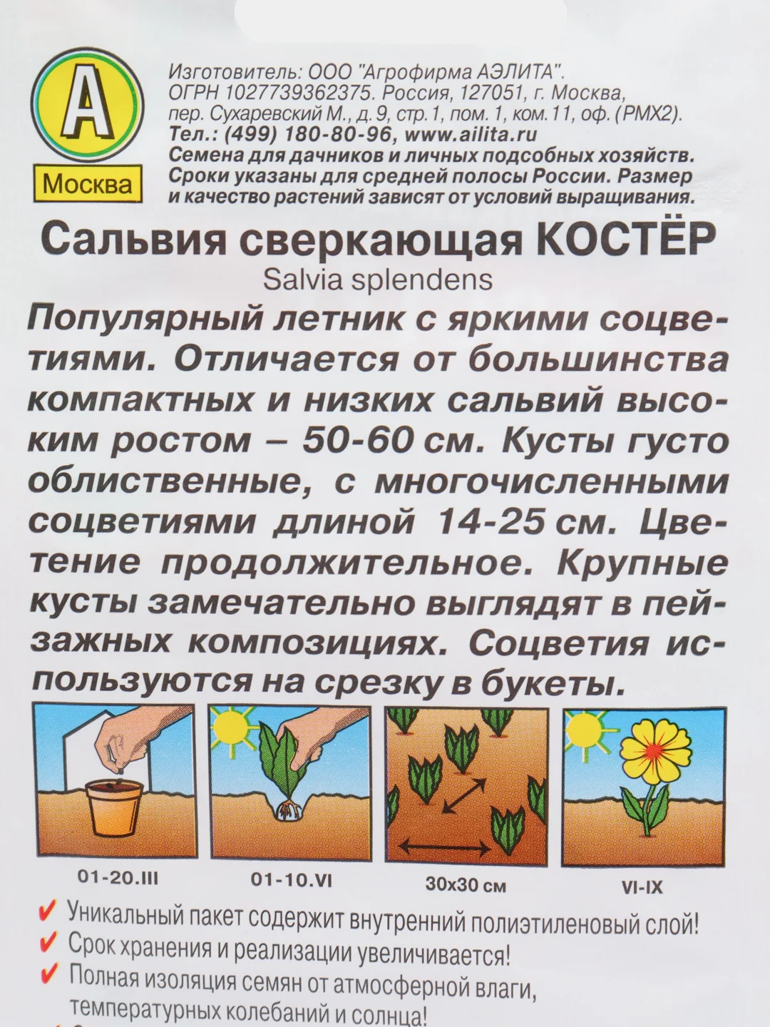 Сальвия сверкающая Костёр (семена аэлита)