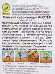 Сальвия сверкающая Костёр (семена аэлита)