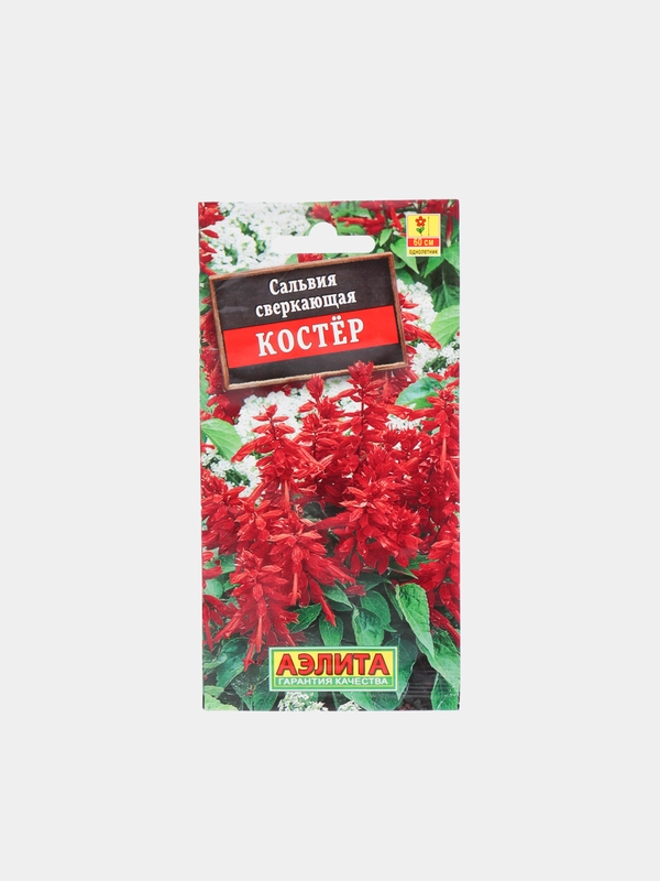 Сальвия сверкающая Костёр (семена аэлита)