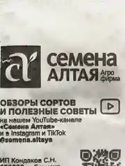 Семена Базилик "Арарат", фиолетовый (10217703)