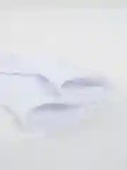 Белые носки на девочку, мальчика